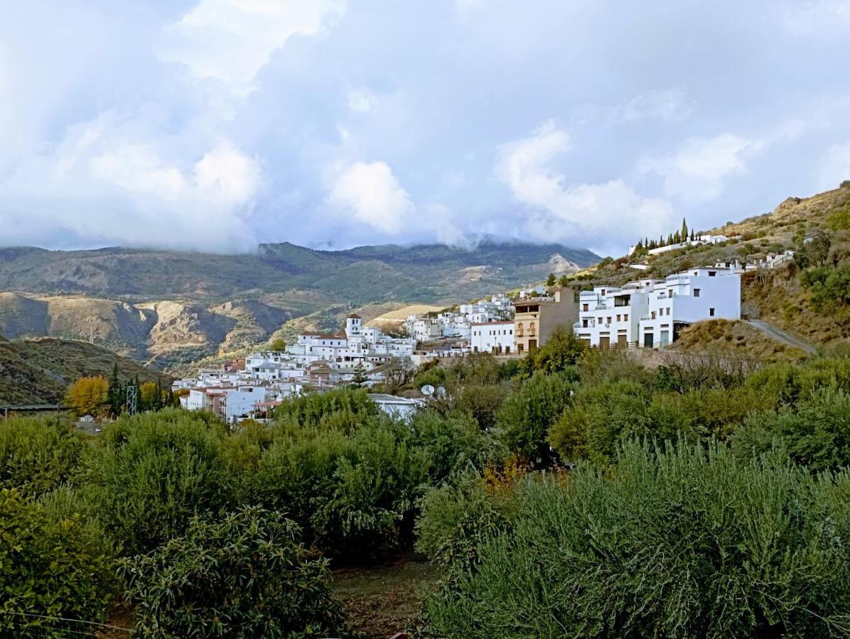 El Almendro De Maruja Apartment Torviscon Exterior photo